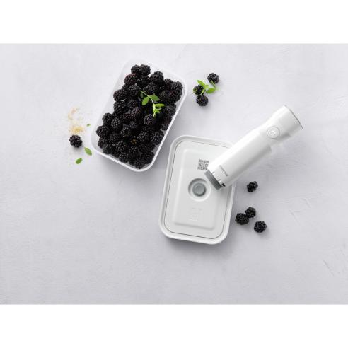 Contenit.Sottov.Plast.M | Salernocasalinghi