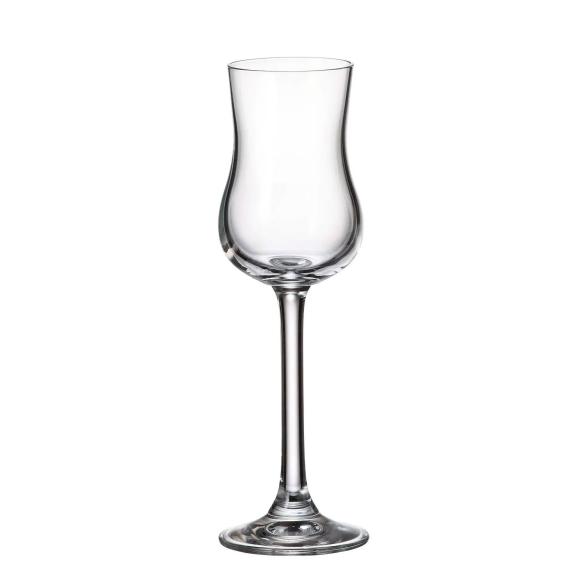 Crystal Bohemia - Set 6 Bicchieri calici da grappa in vetro linea Colibri da 85 ml