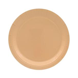 Piatti in Carta Monouso 24cm Pesca Qui Party (15 pz)